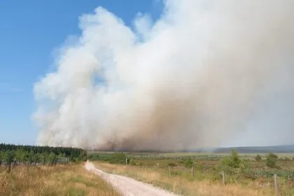 Waldbrände in Europa: Waldbrand im belgischen Hohen Venn breitet sich aus