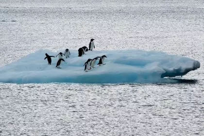 Studie: Schmelzende Polkappen führen zu … Eiszeit