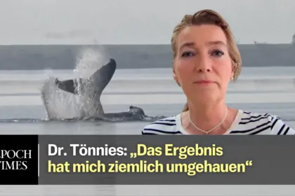 Dr. Tönnies zum Tod von Wal Timmy: „Bevor ich die DNA-Untersuchungsergebnisse hatte, war ich absolut sicher“
