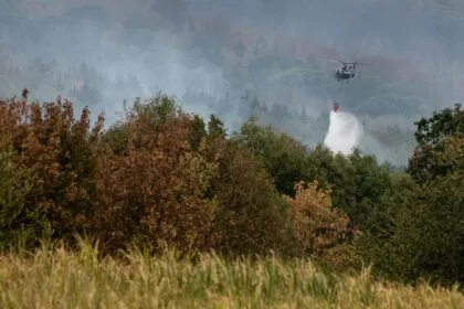 Waldbrandexperte: Sollten unsere Landschaft feuerresistenter machen