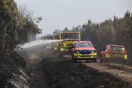 Brandgefahr: Forscher sieht gemeinsame Ursachen und Lösungen in Spanien, Frankreich, Italien