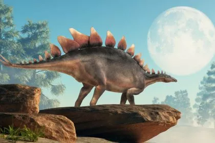Zur Zeit der Dinosaurier dauerte ein Tag etwa 23 Stunden und 33 Minuten