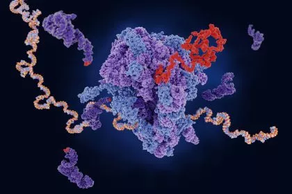 Bisher erkannte Ablesefehler bei mRNA-Impfstoffen erst der Anfang