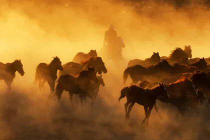 Der Cowboy-Kodex: Die 10 Prinzipien des alten Westens für ein erfülltes Leben
