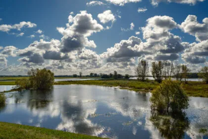 Schub für die Energiewende? Rekordvorkommen an Lithium in Sachsen-Anhalt gefunden