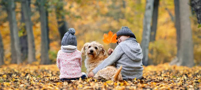 Viele westliche Länder erleben dramatische Geburtenrückgänge. Doch die Zukunft einer Nation erwächst aus ihren Kindern ab. Foto: peppi18/iStock