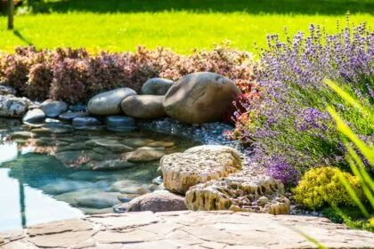 Paradiesische Oase: 6 tierisch gute Tipps für den heimischen Garten