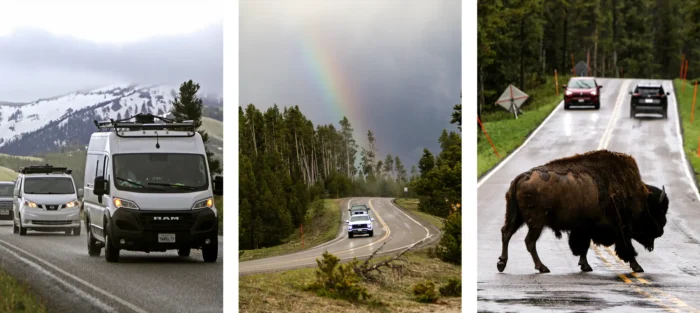 (Links) Autos fahren am 31. Mai 2026 auf der Panoramastraße zwischen Canyon Village und Tower-Roosevelt im Yellowstone-Nationalpark. (Mitte) Ein Regenbogen erscheint am 31. Mai 2026 durch eine Wolkenlücke im Yellowstone-Nationalpark. (Rechts) Ein Bison überquert am 31. Mai 2026 die US 212 im Yellowstone-Nationalpark. Foto: Bobby Sanchez/Epoch Times
