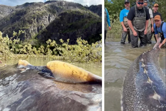 Foto: Mit freundlicher Genehmigung von Sturgeon Slayers