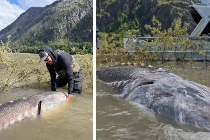 Foto: Mit freundlicher Genehmigung von Sturgeon Slayers