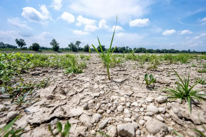Ausgetrocknet ist eine Sandbank an der Niedrigwasser führenden Donau.