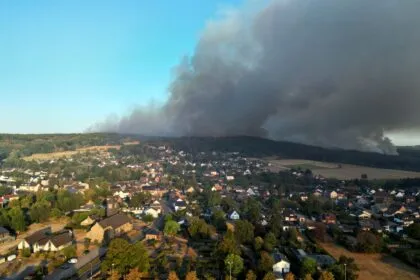 Fast 2000 Menschen fliehen vor Waldbrand - zwei Panzer im Einsatz