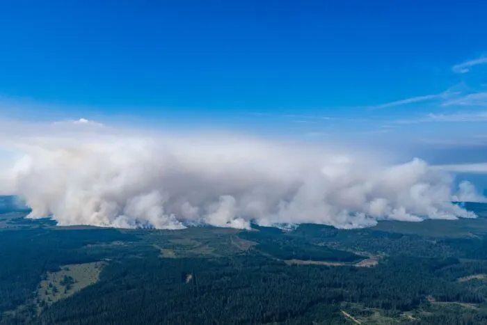 Waldbrand in Belgien: Gigantische Rauchwand über dem Hohen Venn