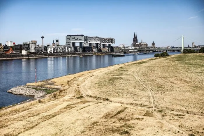 Niedrigwasser am Rhein in Köln