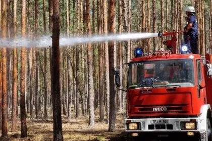 Wissen der Ureinwohner: Moderner Naturschutz fördert schwere Waldbrände