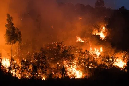 Neue Waldbrände in Frankreich und Spanien - Hunderte Feuerwehrleute und Soldaten im Einsatz