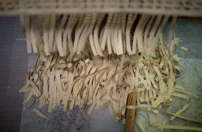 Plumento Food hatte unter anderem insektenhaltige Nudeln vertrieben. (Archivbild)