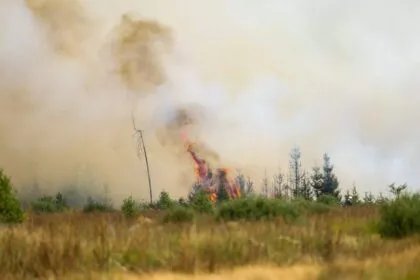 Angst vor der Feuerfront in der Eifel