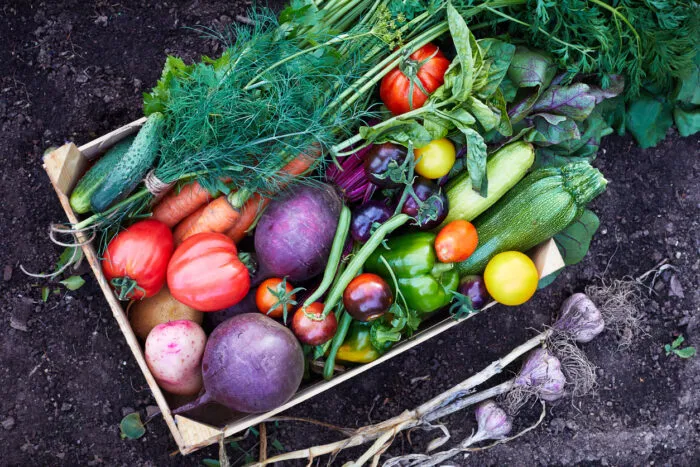 Viele ländliche Haushalte verwenden Lebensmittel aus der Region, darunter Gemüse , Obst, Eier und Fleisch aus der Umgebung. Foto: Filkina Natalia/iStock