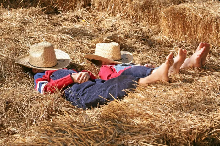Ansonsten liegen zumindest kleine Farmer auch mal in der Sonne. Foto: sonyae/iStock