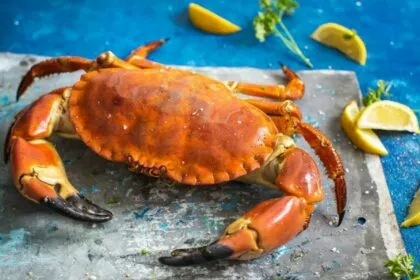 Krebsschalen statt Plastiktüten: Forscher entwickeln Verpackungen aus Fischereiabfällen