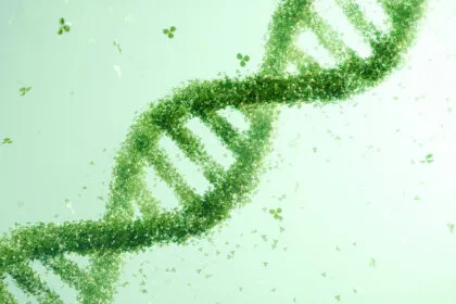 Wie sich Kunst auf unsere DNA auswirken kann