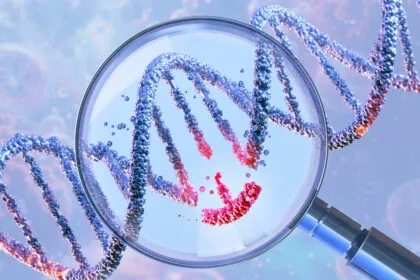 Epigenetik: Mehr als genetisches Schicksal?