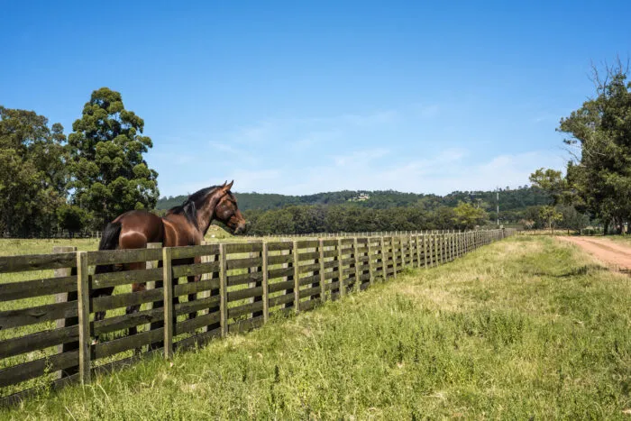 Foto: Gut gebaute Zäune sind unerlässlich, um Nutztiere zu schützen und Ausbrüche zu verhindern. Foto: xeni4ka/iStock