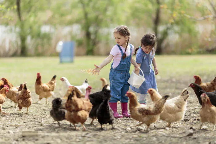 Familienbetriebe leben von der Lebensmittelproduktion, dem Landbesitz und der Tierhaltung. Oft ist die ganze Familie beteiligt. Foto: boggy22/iStock
