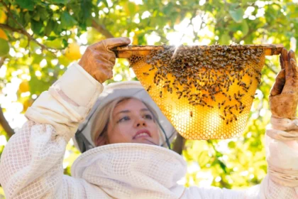 Raus aus dem Hamsterrad: Wie die Arbeit mit Bienen zur Berufung wurde