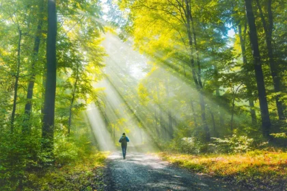 Wie die Natur unser Gehirn neu vernetzt - auf eine messbare Weise