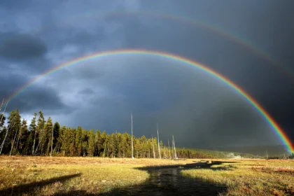 „Geh nach Westen, junger Mann“: Der Ruf des Yellowstone-Nationalpark hallt durch Generationen