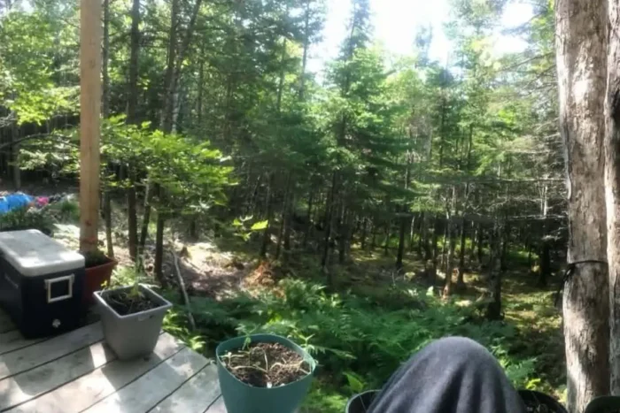 Wohnen mit der Natur. Foto: Mit freundlicher Genehmigung von Cameron Ringland