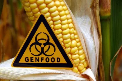 Gentechnik in der EU: Kennzeichnungspflicht für Lebensmittel entfällt