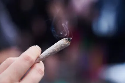 Deutschland ist nun „größter legal-kommerzieller Cannabismarkt Europas“ 