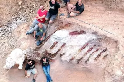 Größter Dinosaurier Europas in Privatgarten entdeckt