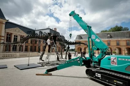 22 Meter-Dinosaurier für sechs Millionen Euro versteigert