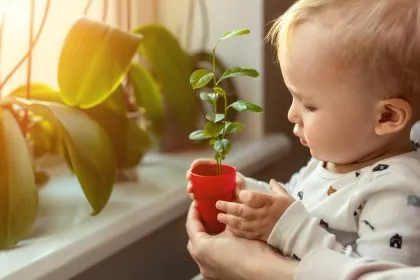 Pflanzen haben Gefühle - von Experimenten, die inspirieren