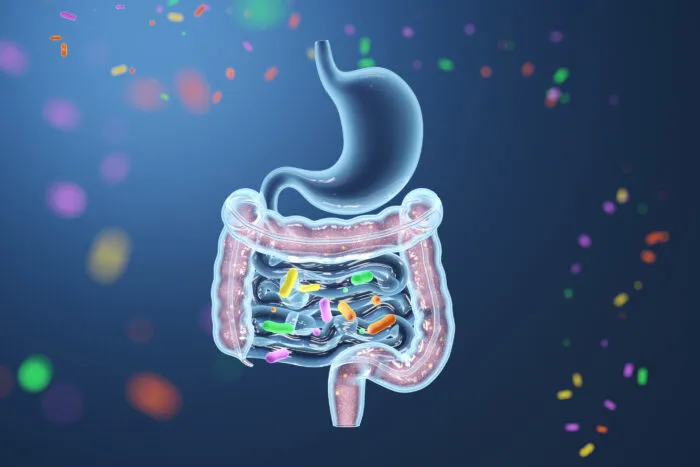 Das individuelle Darm-Mikrobiom interagiert kontinuierlich mit unseren Immunzellen und prägt so den Immunstatus schon vor der Impfung.(Symbolbild) Foto: piyaset / iStock