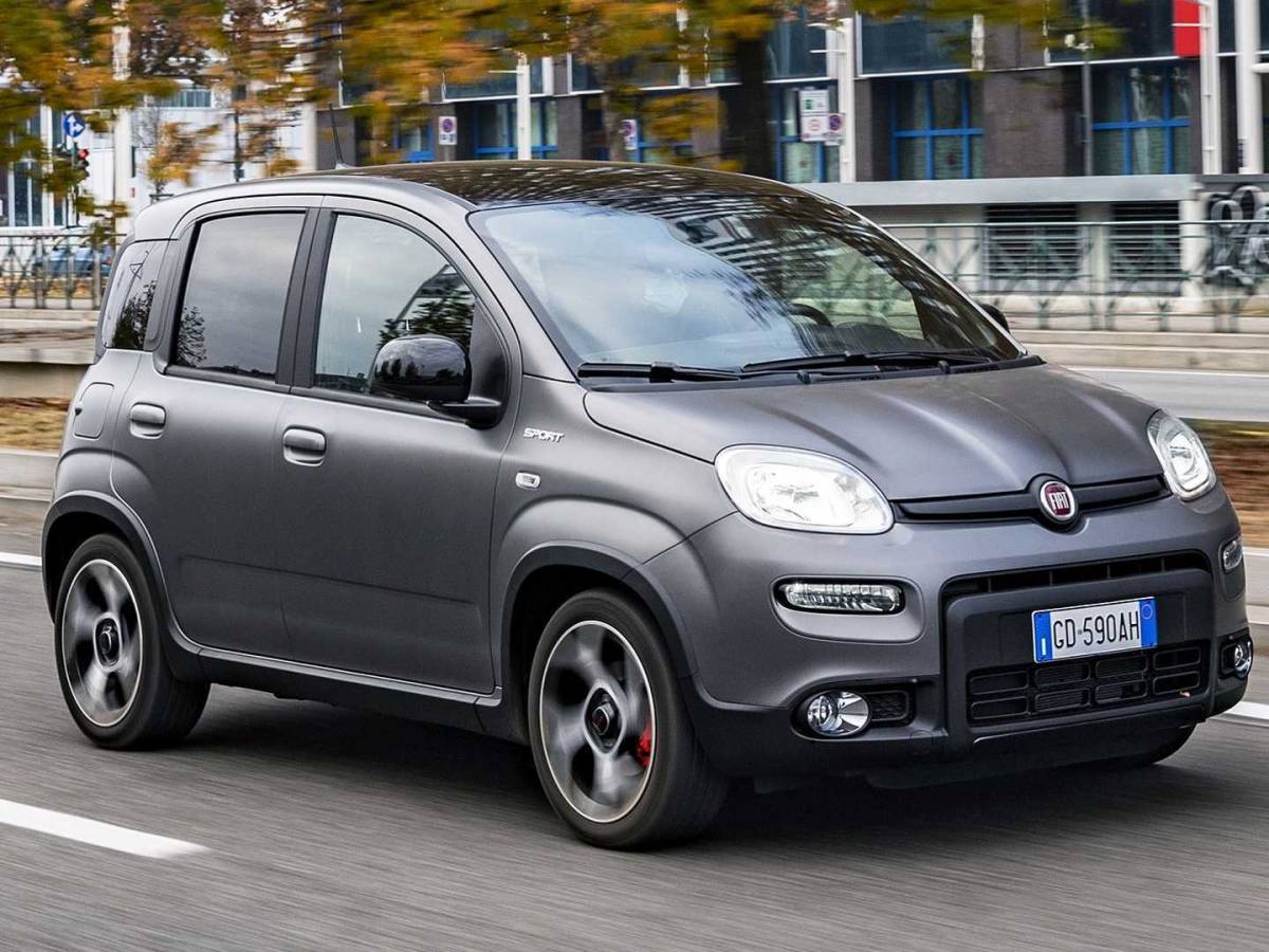 fiat panda