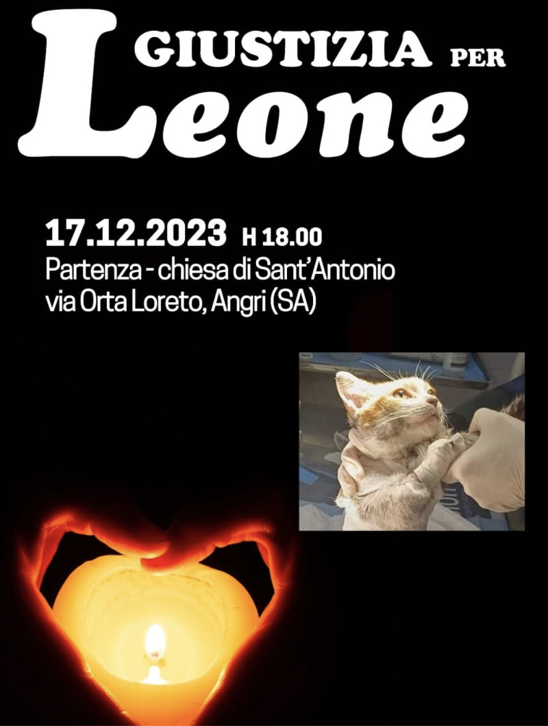 Fiaccolata per Leone