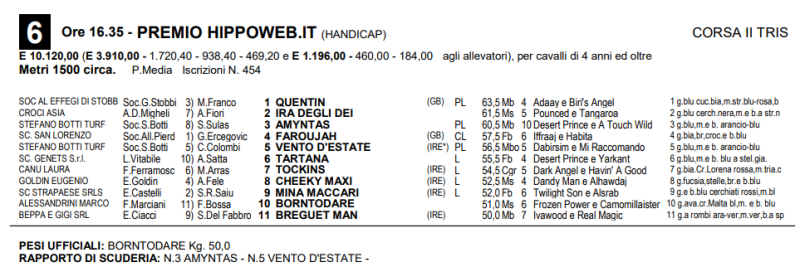 Premio Hippoweb_2023