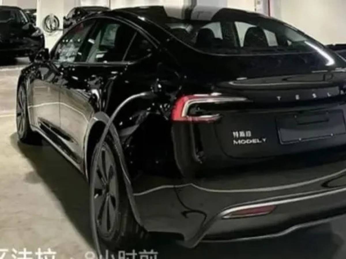 foto spia tesla model y 2024