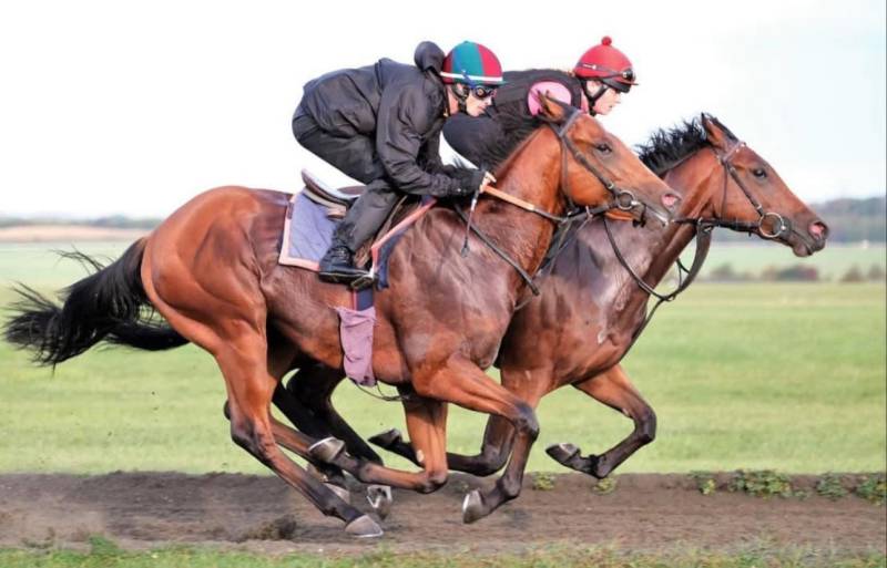 in allenamento a Newmarket