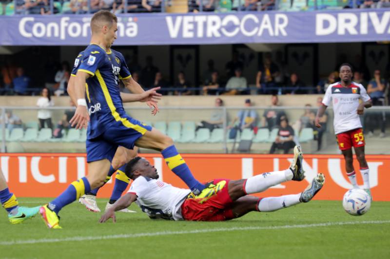 hellas verona genoa