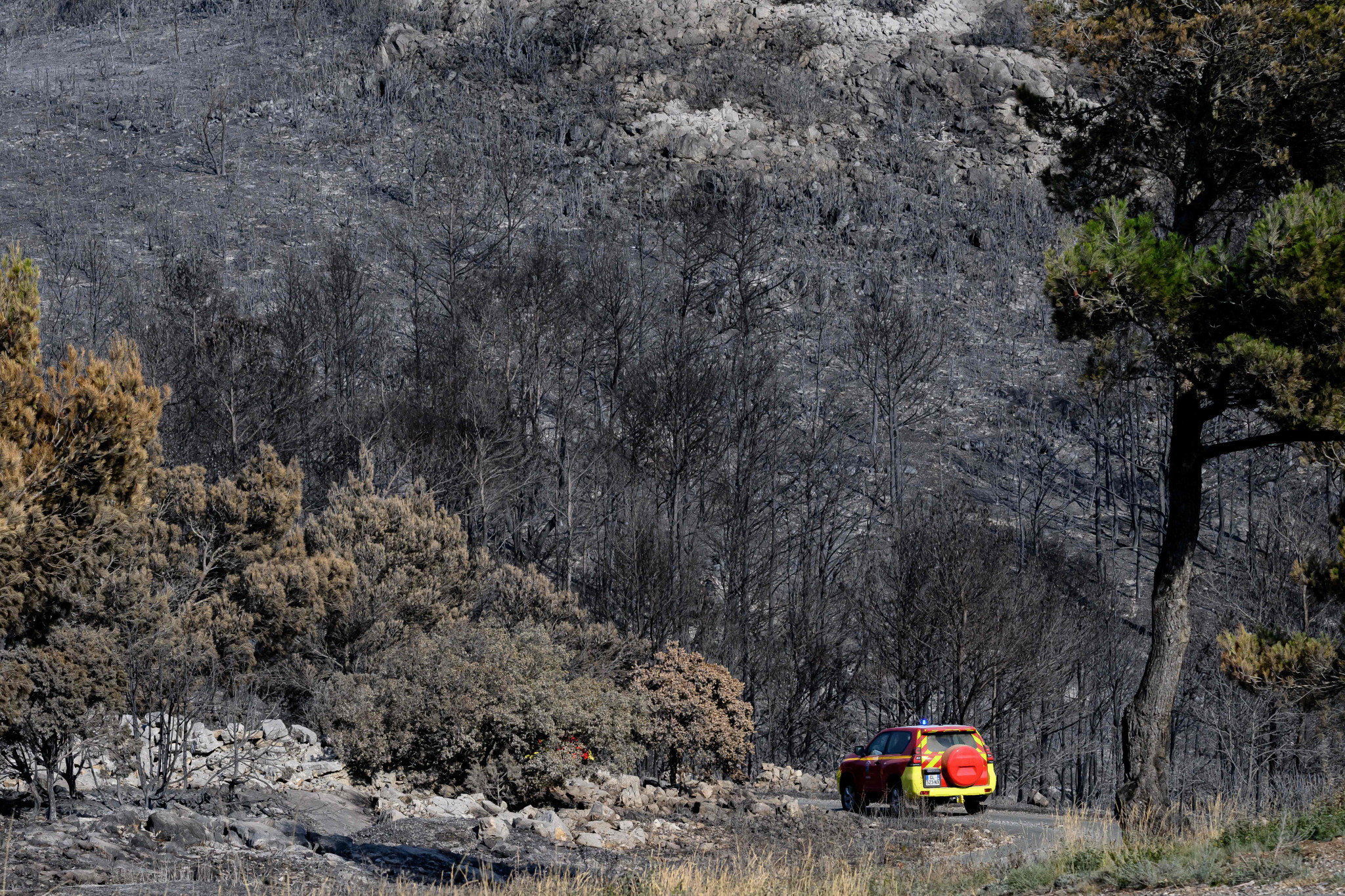 Incendie dans l’Aude : le défi de la reconstruction