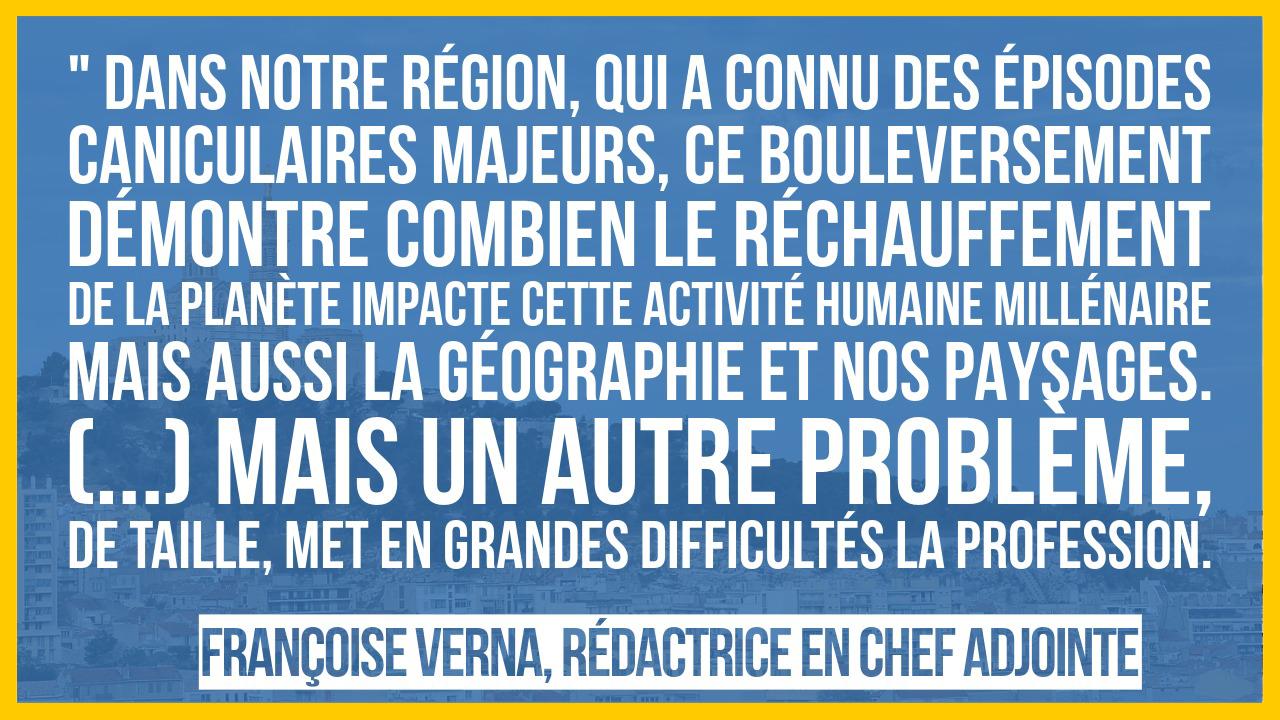 Des raisins de plus en plus précoces