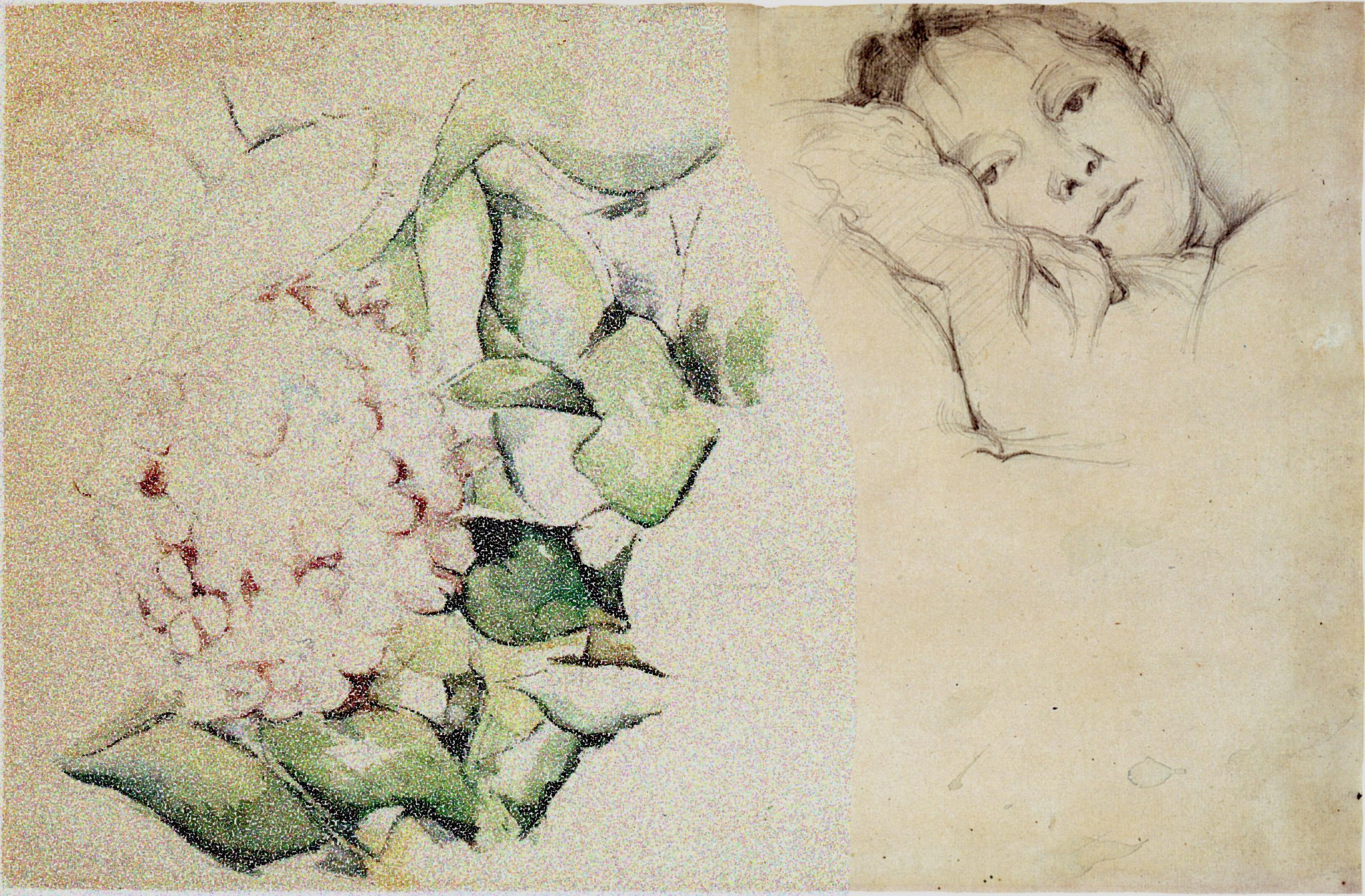 Hortense, épouse de Paul Cezanne : épreuves et solitudes