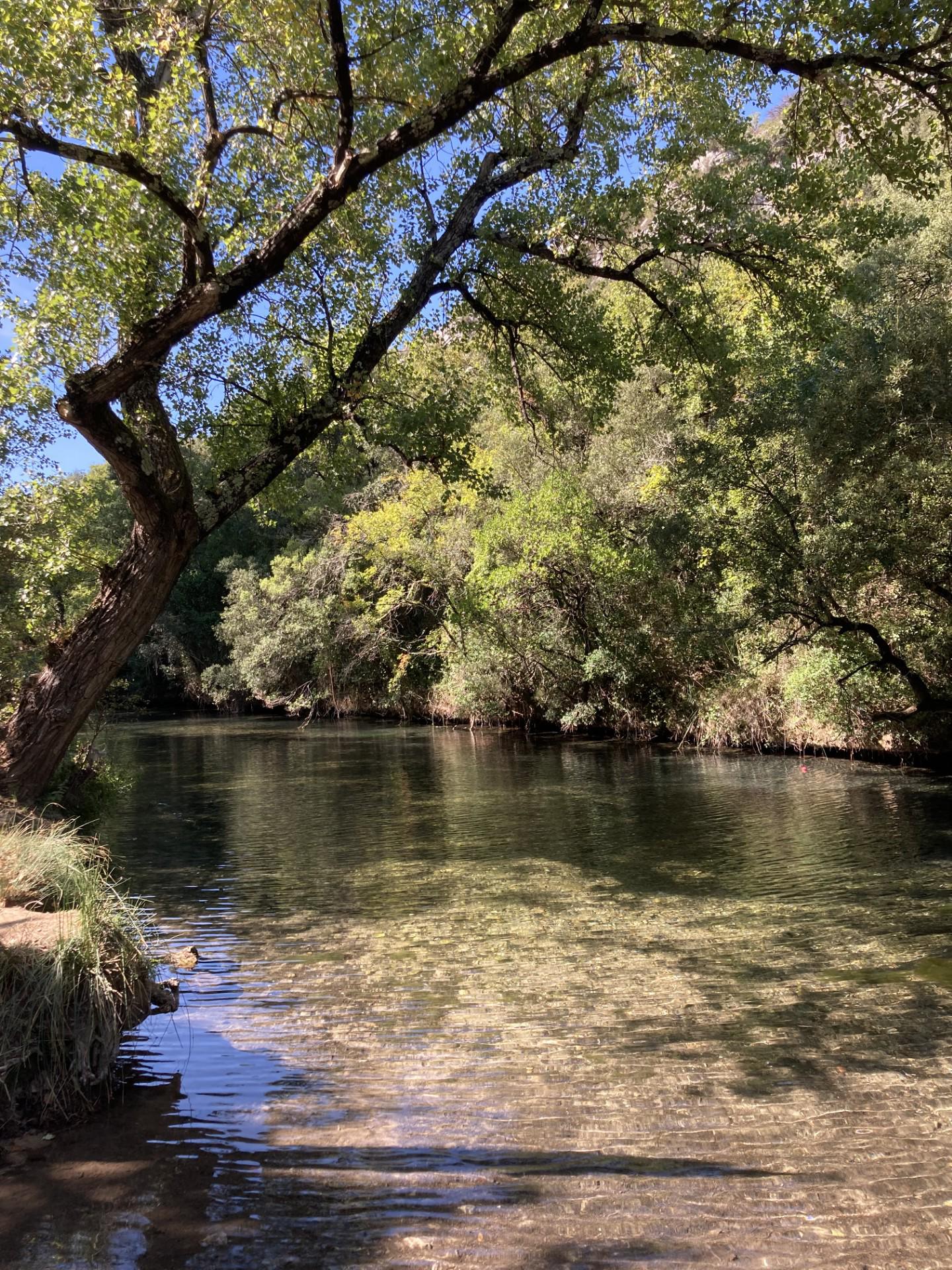 Les gorges du Caramy mises en scène et protégées