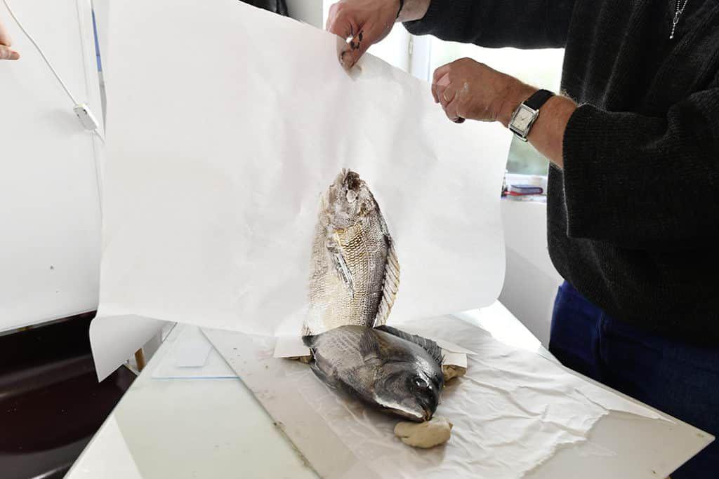 Le Gyotaku pour mieux connaître les poissons